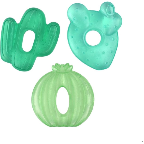 Itzy ritzy cutie cooler Plant