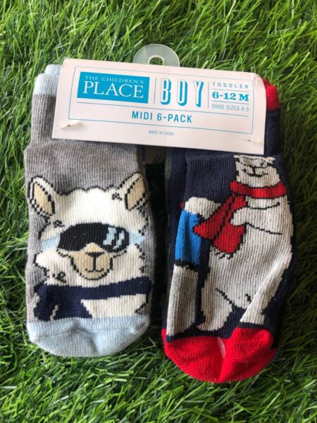 Place baby 6 pack socks